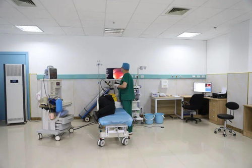 技術(shù)服務(wù) 設(shè)備、環(huán)境與專業(yè)能力缺一不可